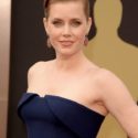 Amy Adams Chic French Twist from the Oscars