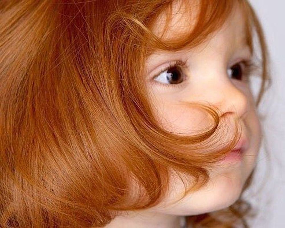 Forudsætning Bærbar Vejrudsigt 5 Hair Products for Redhead Kids That Wont Break The Bank