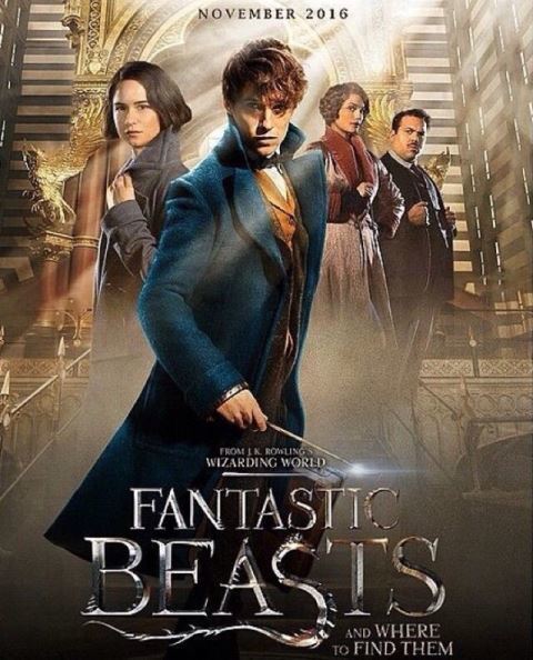 fantastic-beasts-sequel-03aug16