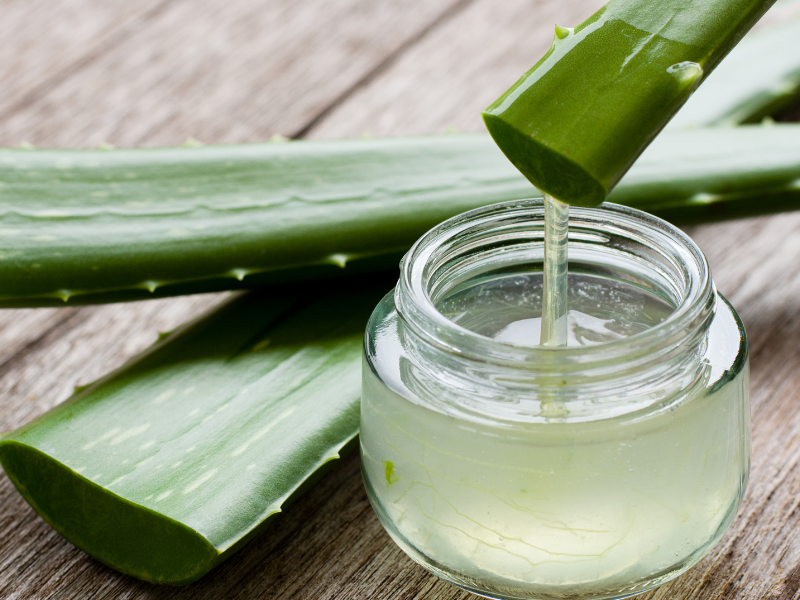 TikTok Trend: Have You Heard of the Aloe Wrap for Sunburn Relief?